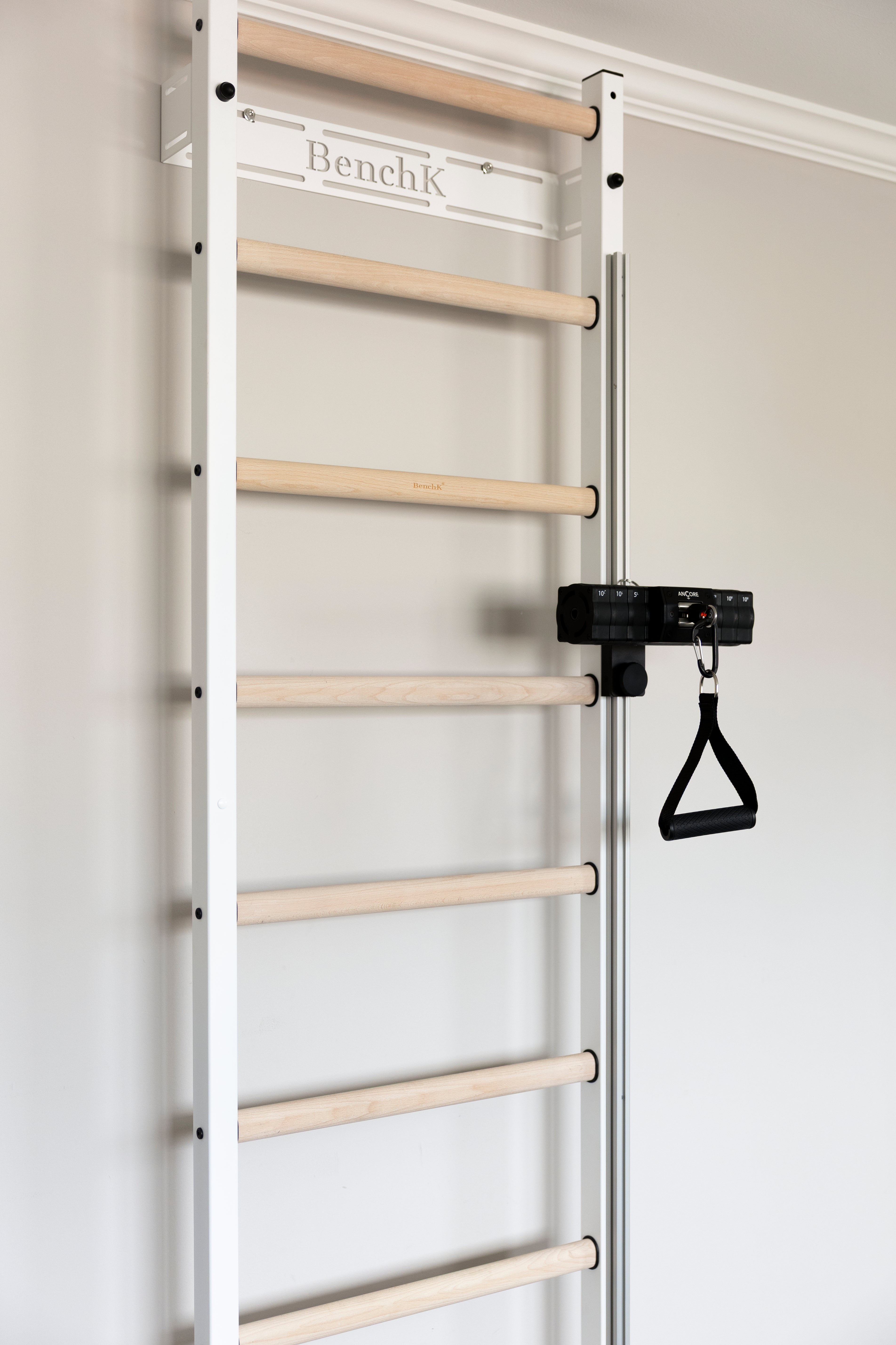 BenchK 700B wall bars + ANCORE PRO cable system bundle 55lbs