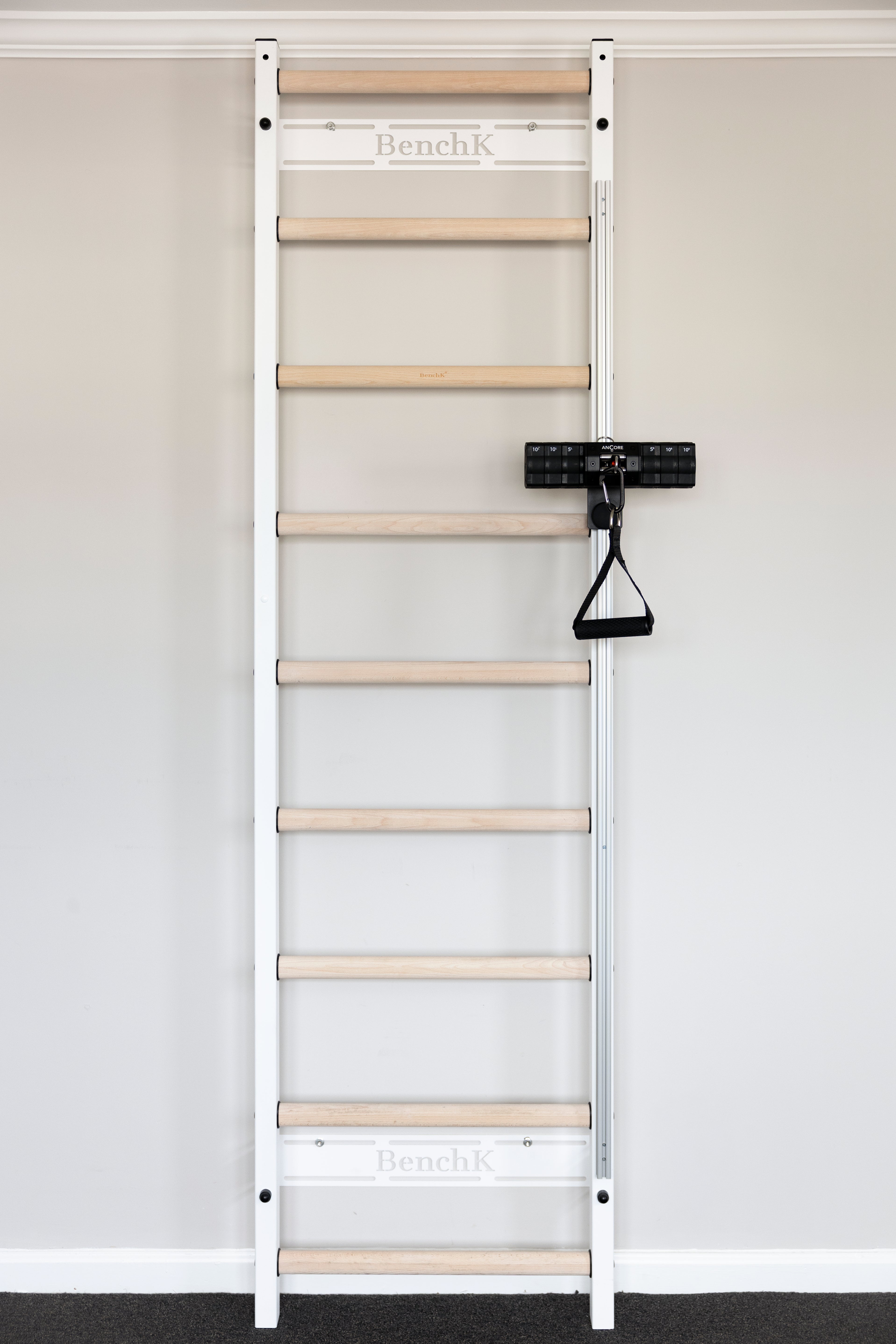 BenchK 700B wall bars + ANCORE PRO cable system bundle 55lbs