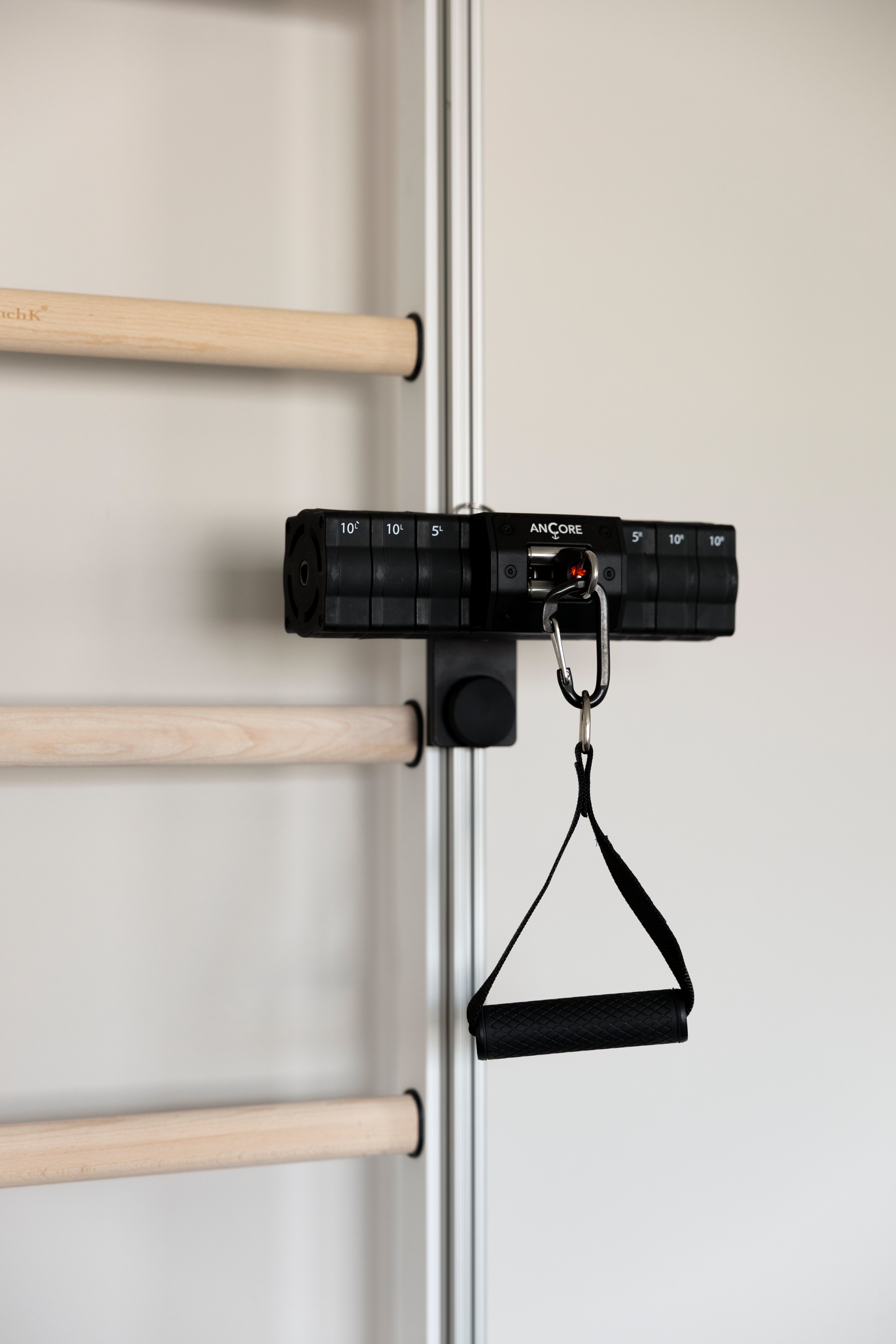 BenchK 700B wall bars + ANCORE PRO cable system bundle 55lbs
