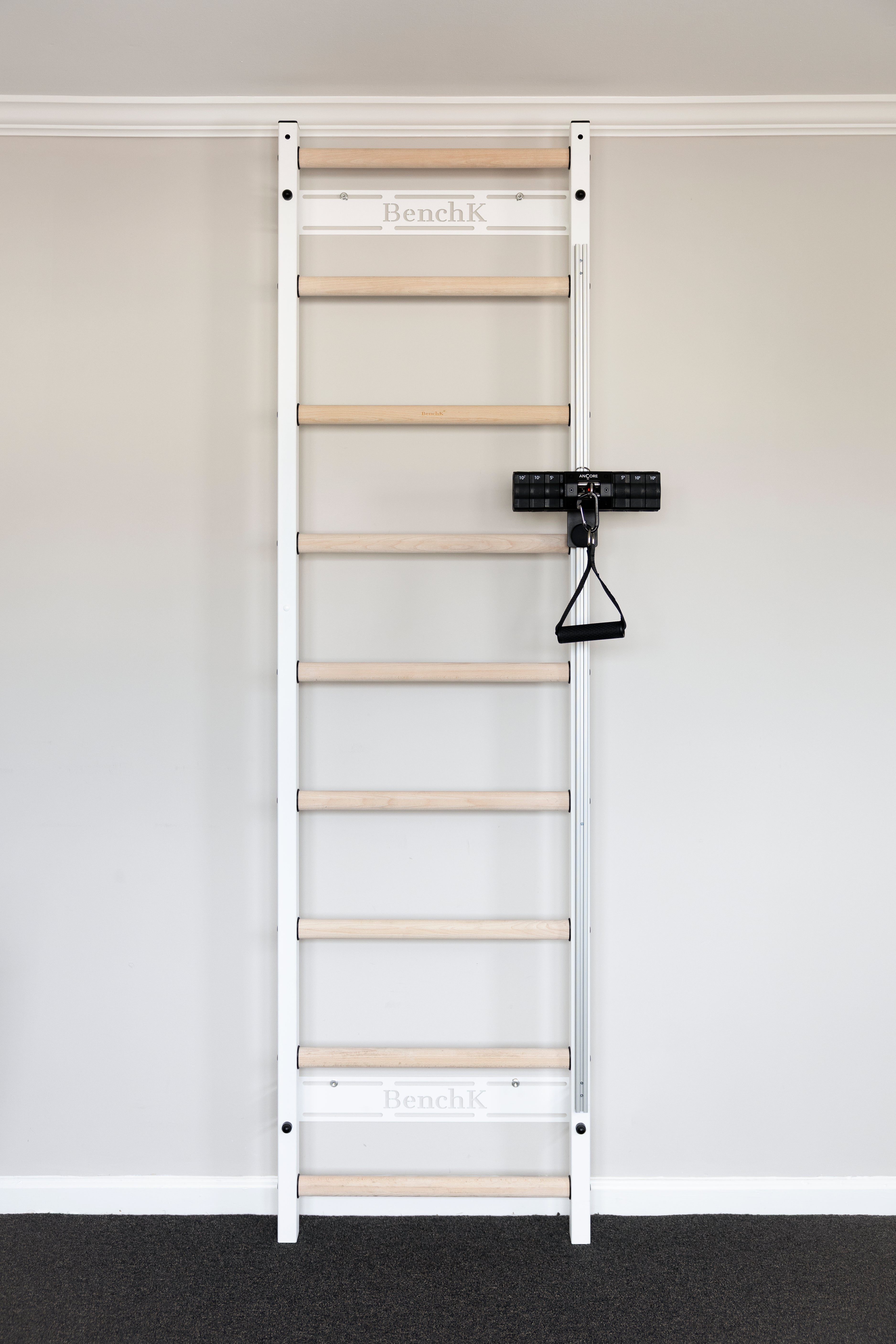 BenchK 700B wall bars + ANCORE PRO cable system bundle 55lbs