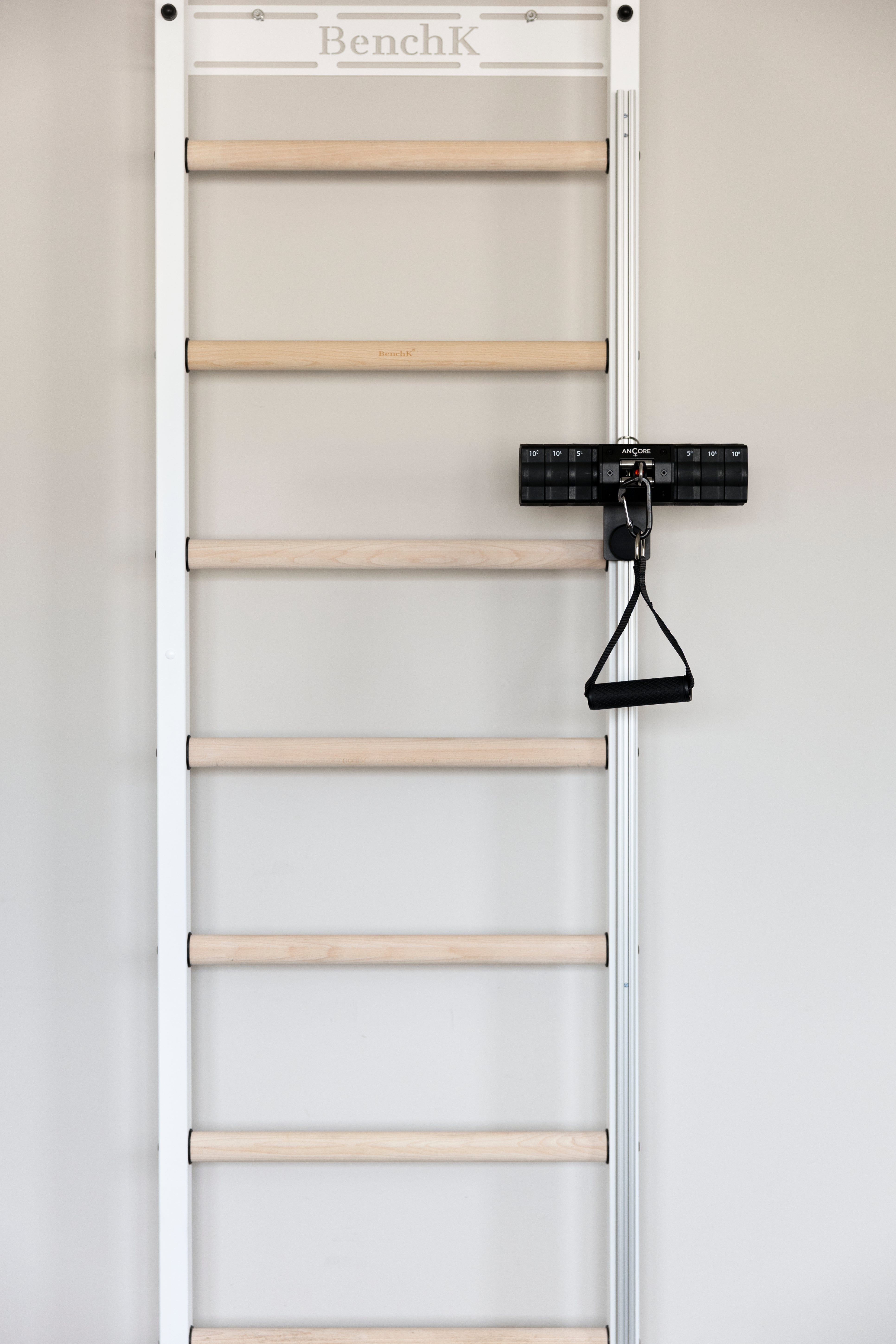 BenchK 700B wall bars + ANCORE PRO cable system bundle 55lbs