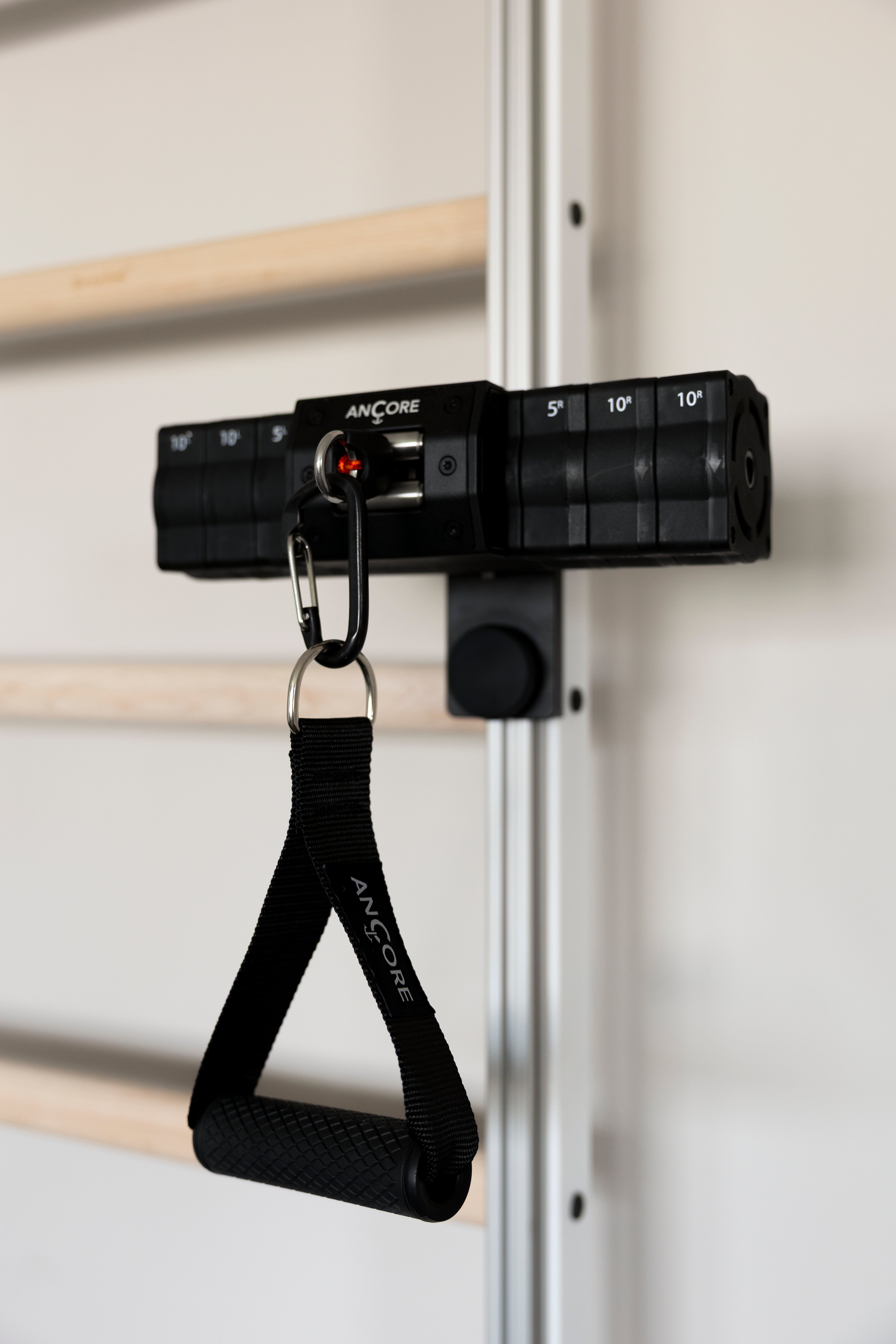 BenchK 700B wall bars + ANCORE PRO cable system bundle 55lbs
