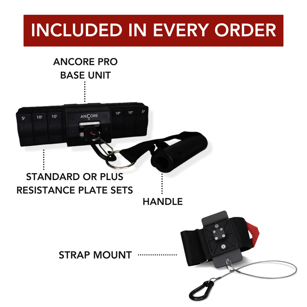 BenchK 700B wall bars + ANCORE PRO cable system bundle 55lbs